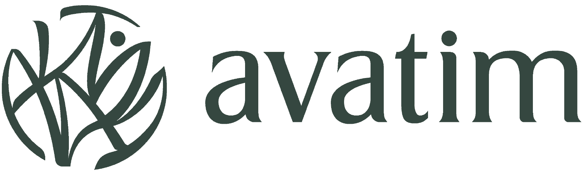 Avatim